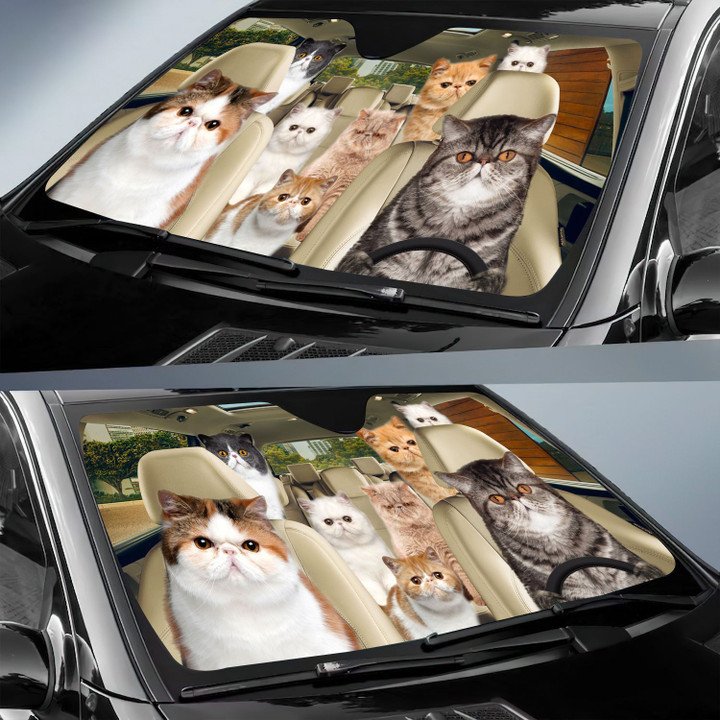 Exotic Cat All Over Printed 3D Sun Shade
