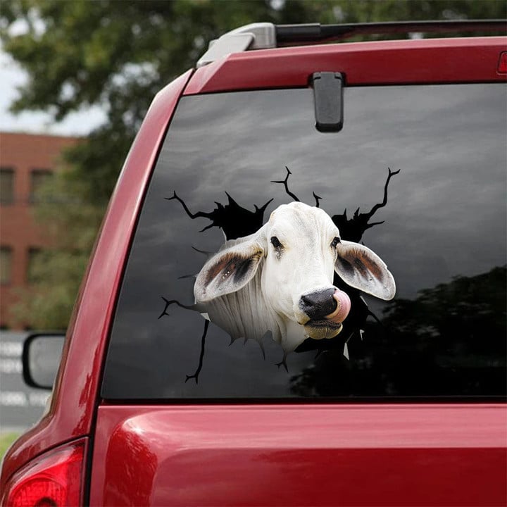 Brahman Broken Glass Car Decal Sticker