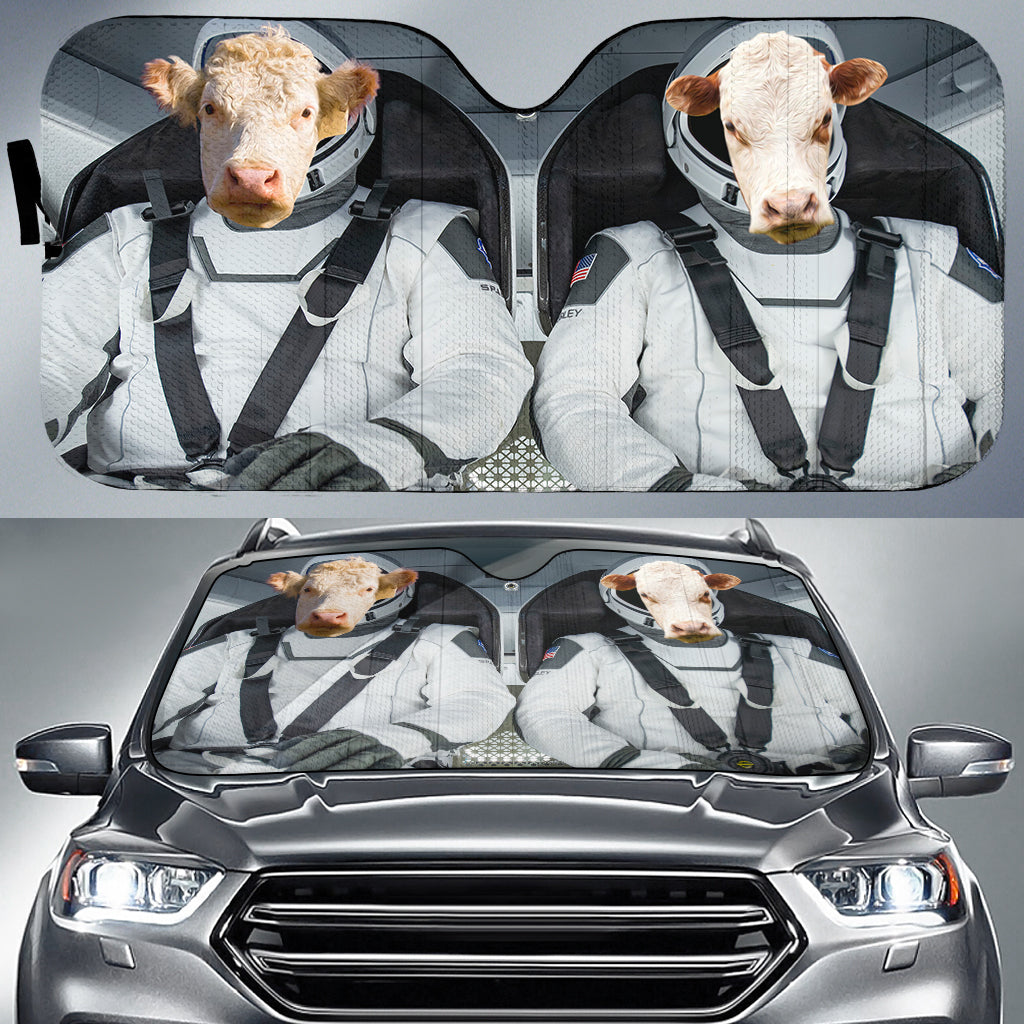 Hereford Universe 3D Sun Shade