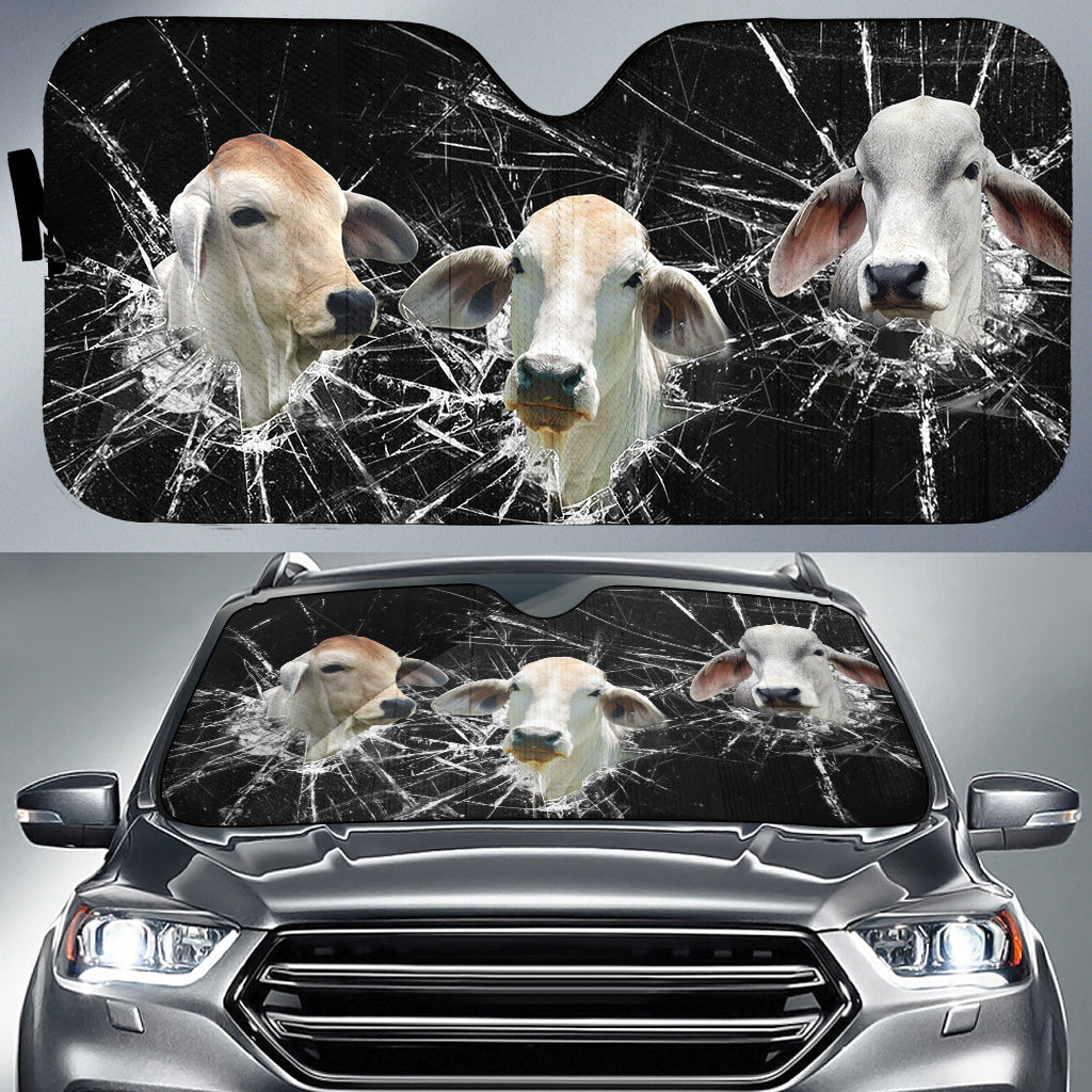Brahman Broken Glasses 3D Sun Shade