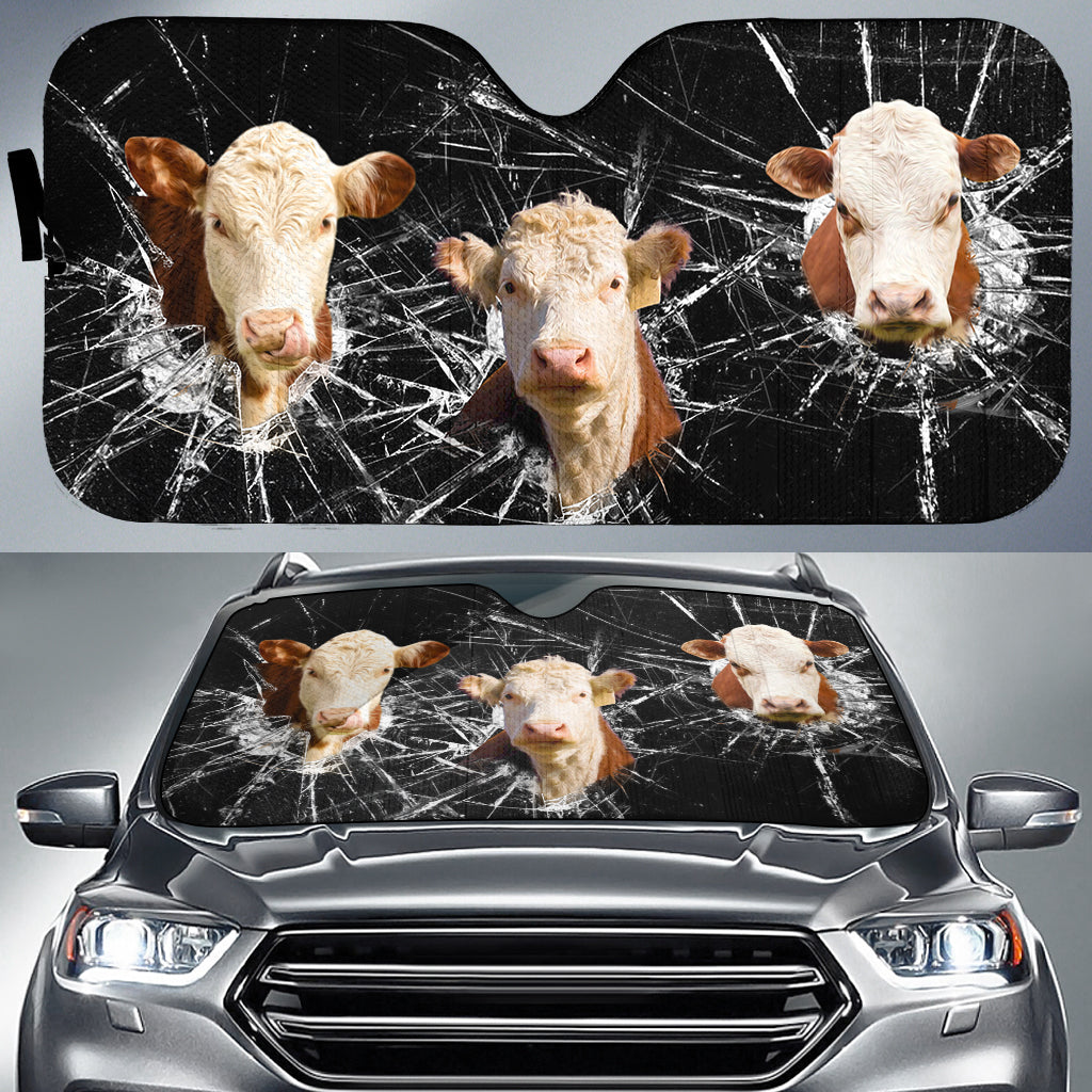 Hereford Broken Glasses 3D Sun Shade