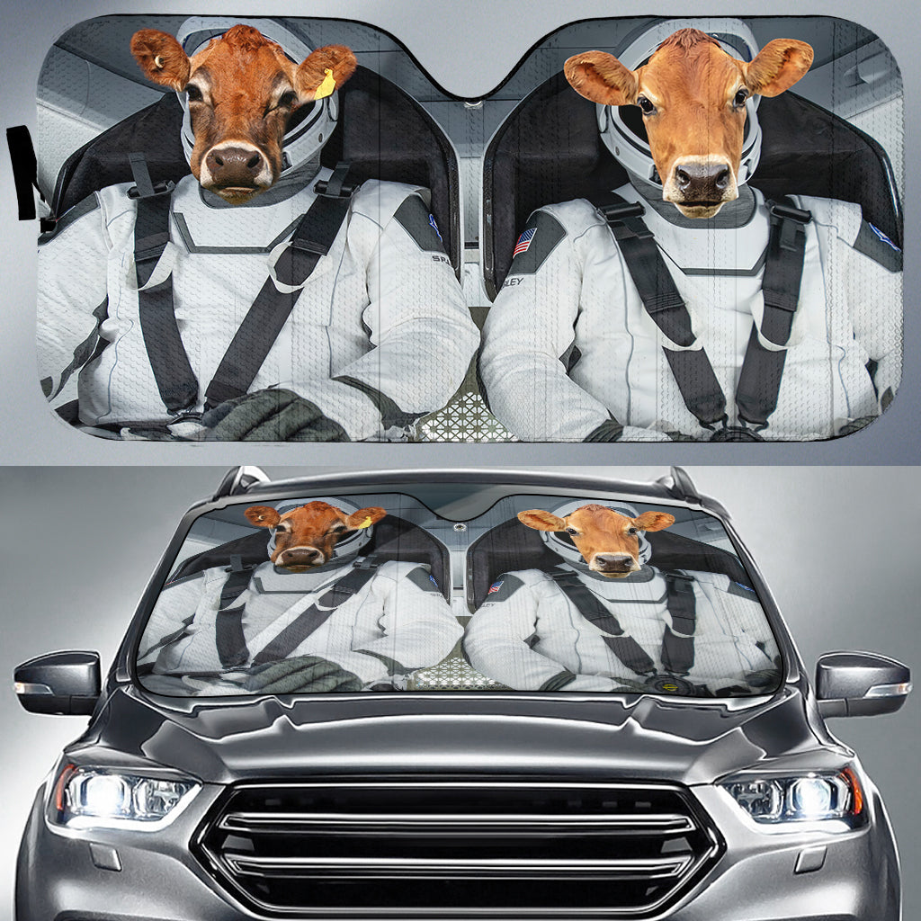 Jersey Universe 3D Sun Shade