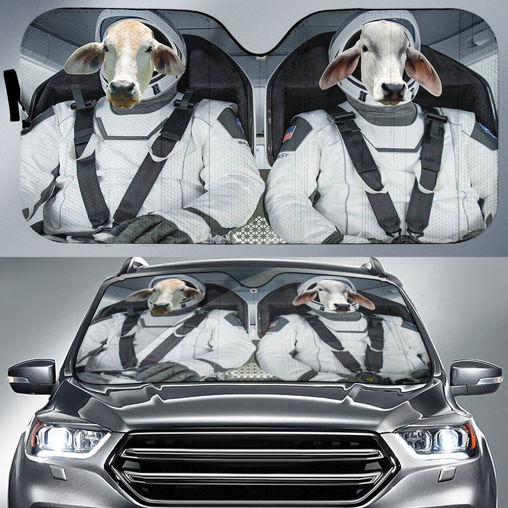 Brahman Universe 3D Sun Shade
