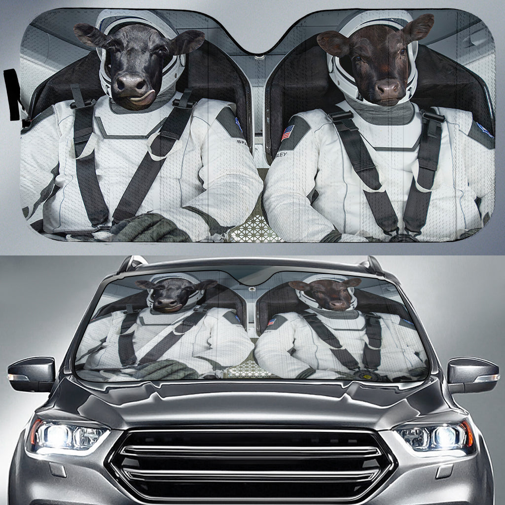 Black Angus Universe 3D Sun Shade