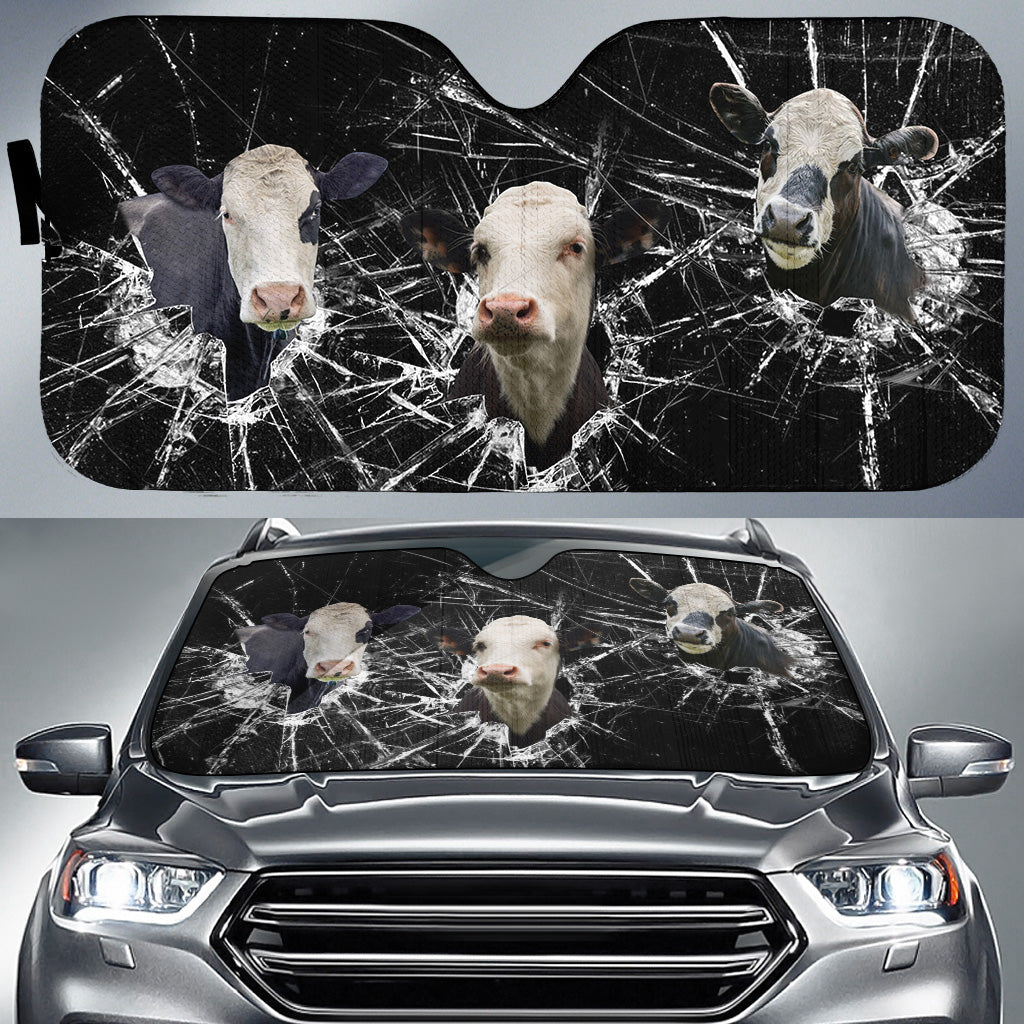 Black Baldy Broken Glasses 3D Sun Shade