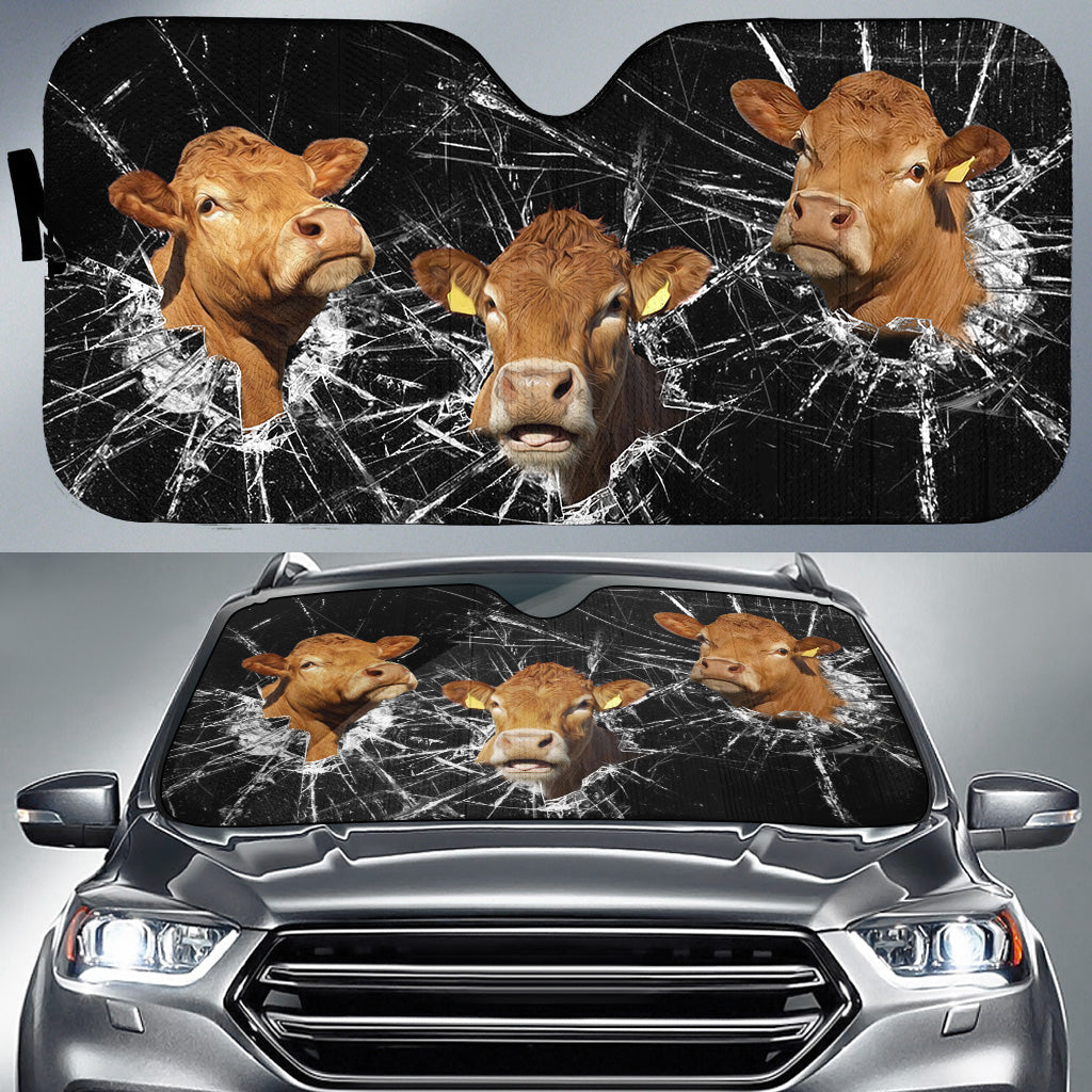 Limousin Broken Glasses 3D Sun Shade