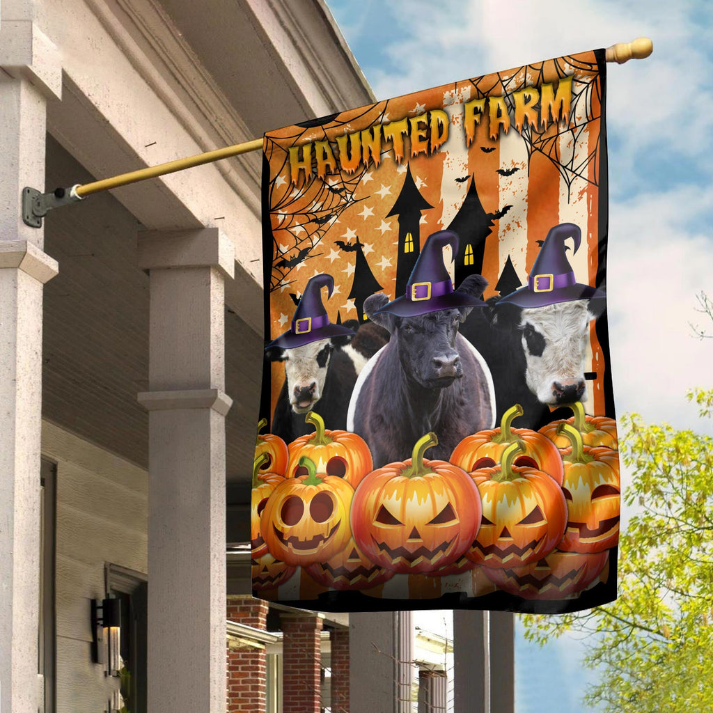 Belted Galloway Cattle Haunted Farm Halloween Flag