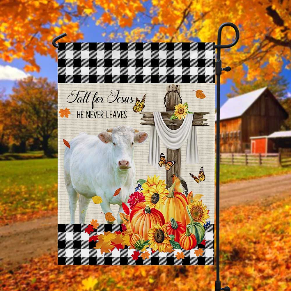 Charolais Cattle Fall For Jesus Flag