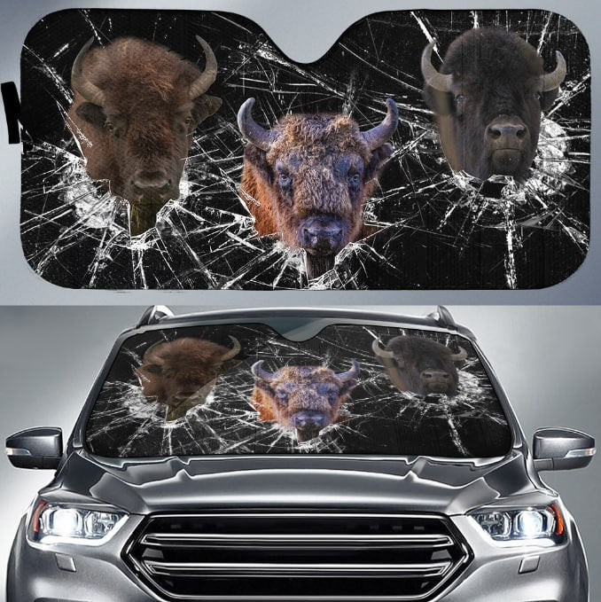 Bison Broken Glasses 3D Sun Shade