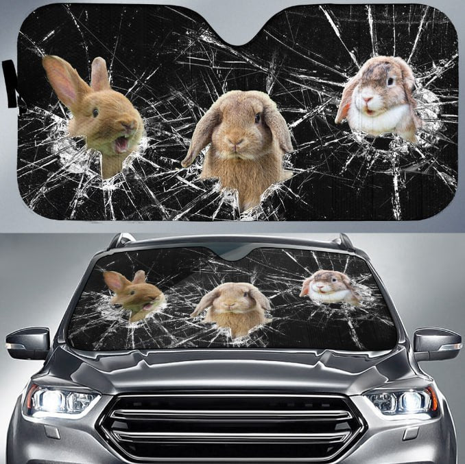 Rabbits Broken Glasses 3D Sun Shade