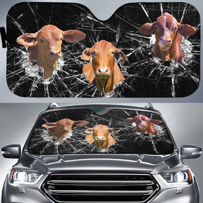 Droughtmaster Broken Glasses 3D Sun Shade